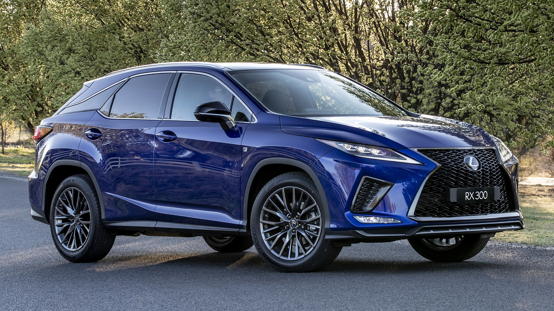 Lexus rx sport