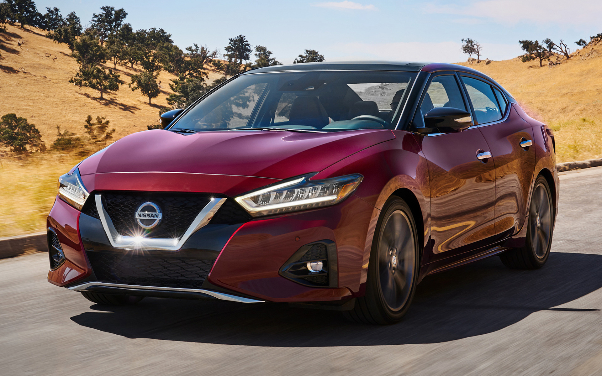 2019 Nissan Maxima Wallpapers and HD Images Car Pixel