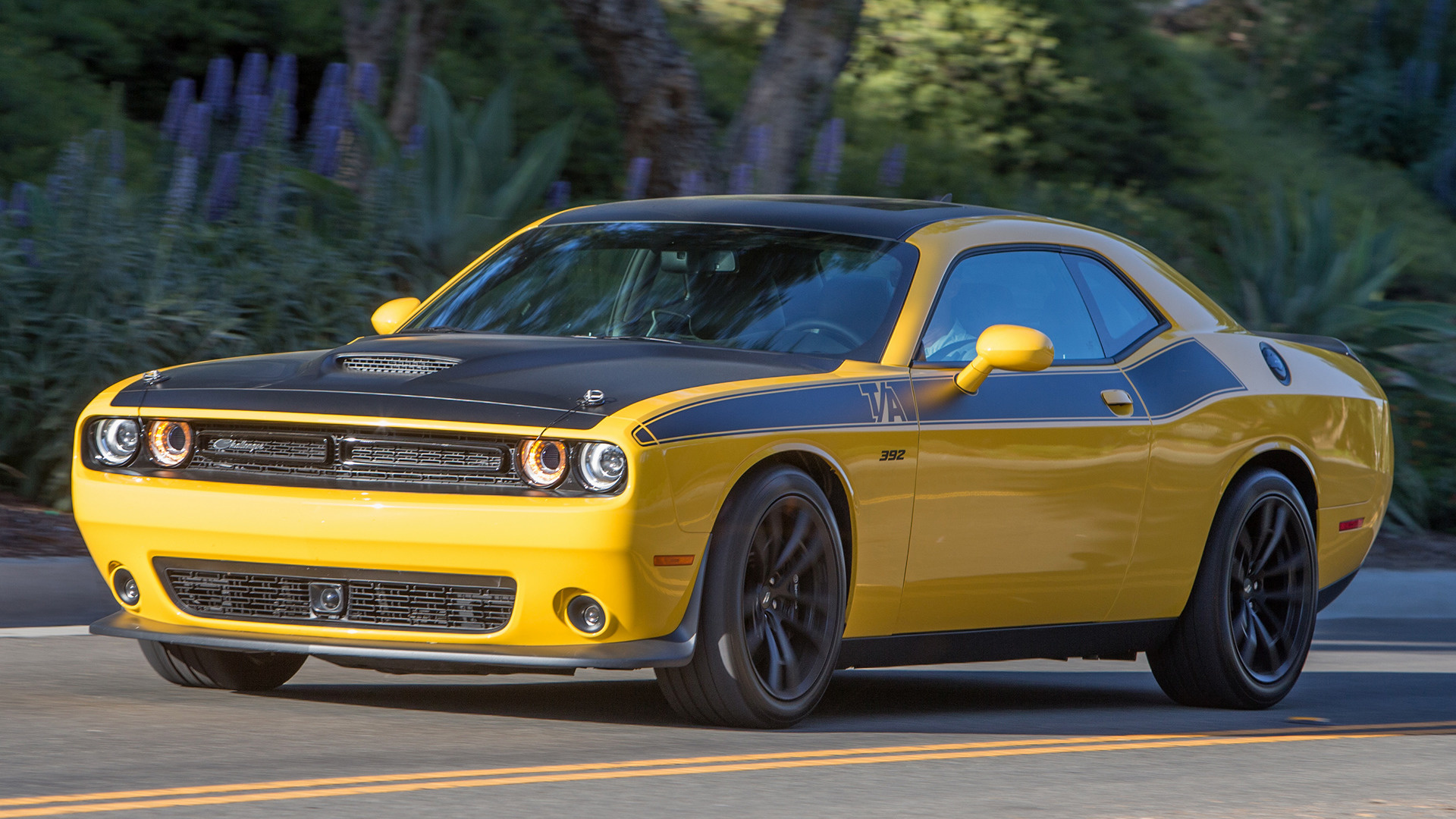 dodge ta meaning 2017 Dodge Challenger T/A 392 - Wallpapers and HD Images
