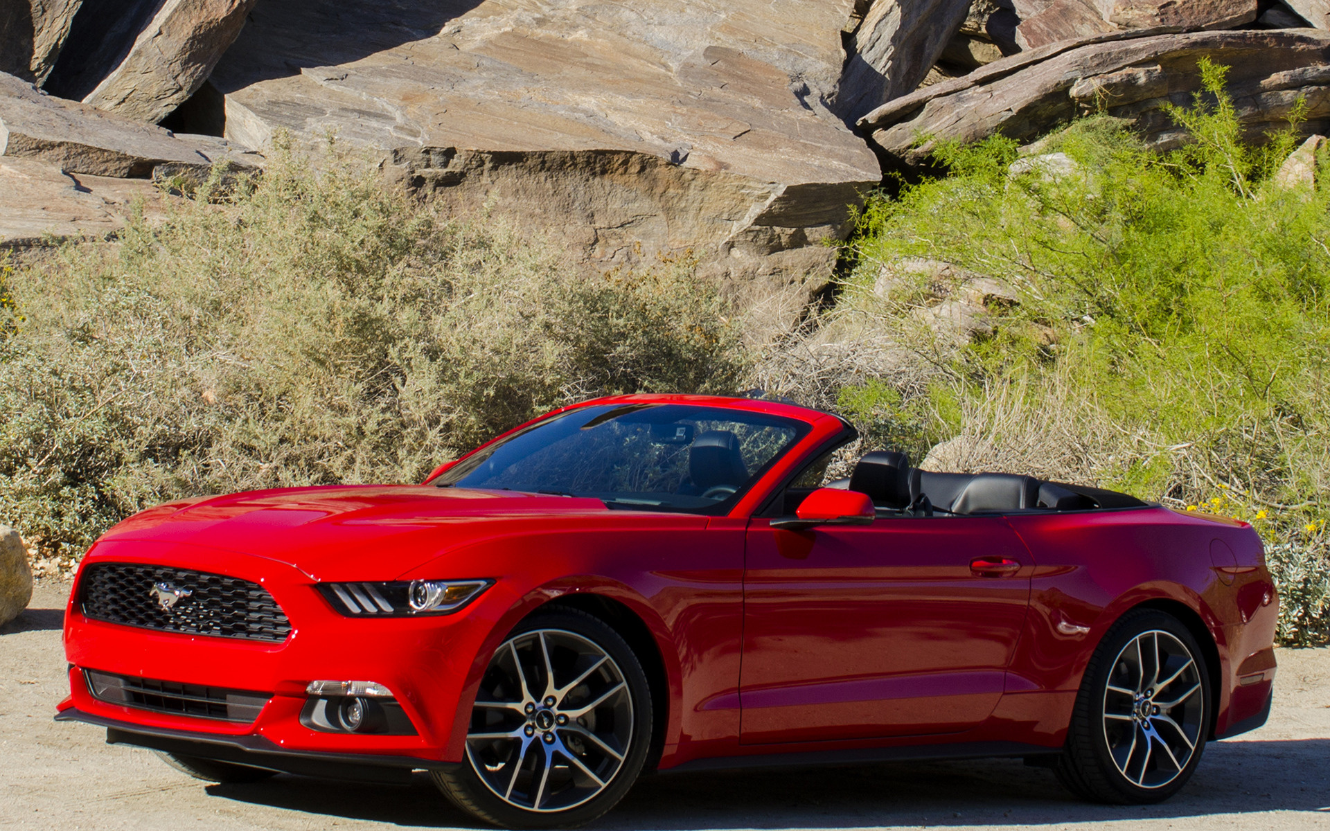 2017 Ford® Mustang Sports Car | #1 Sports Car for Over 45 ...