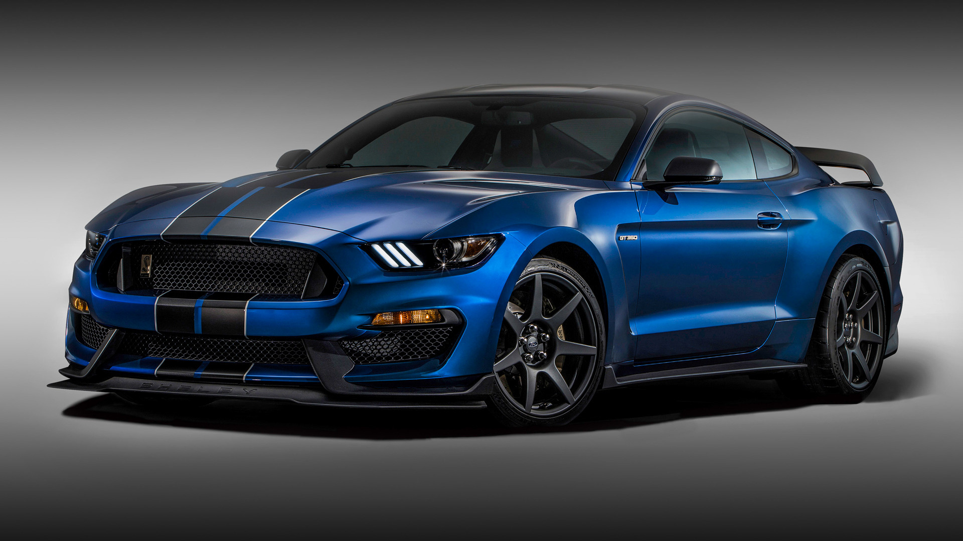 2022 Shelby GT350R Mustang Wallpapers and HD Images 