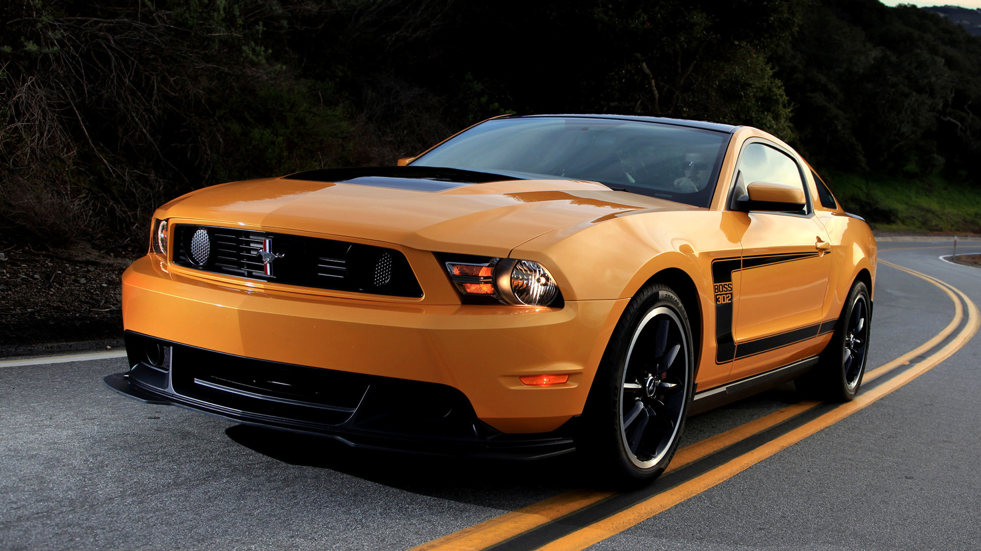 2011 Ford Mustang Boss 302 - Wallpapers and HD Images | Car Pixel