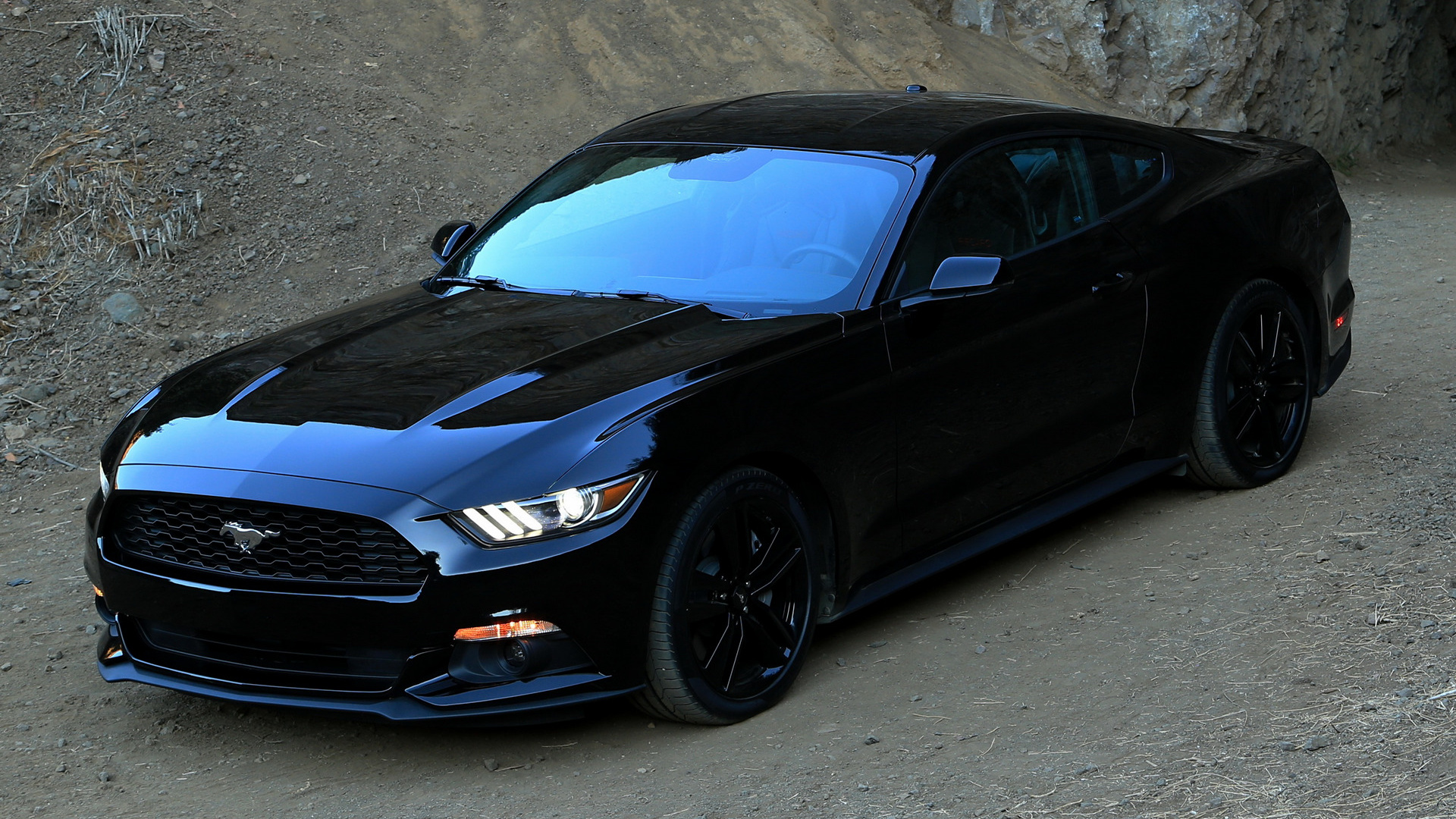 2015 Ford Mustang - Wallpapers and HD Images | Car Pixel
 2015 Ford Mustang Wallpaper Hd