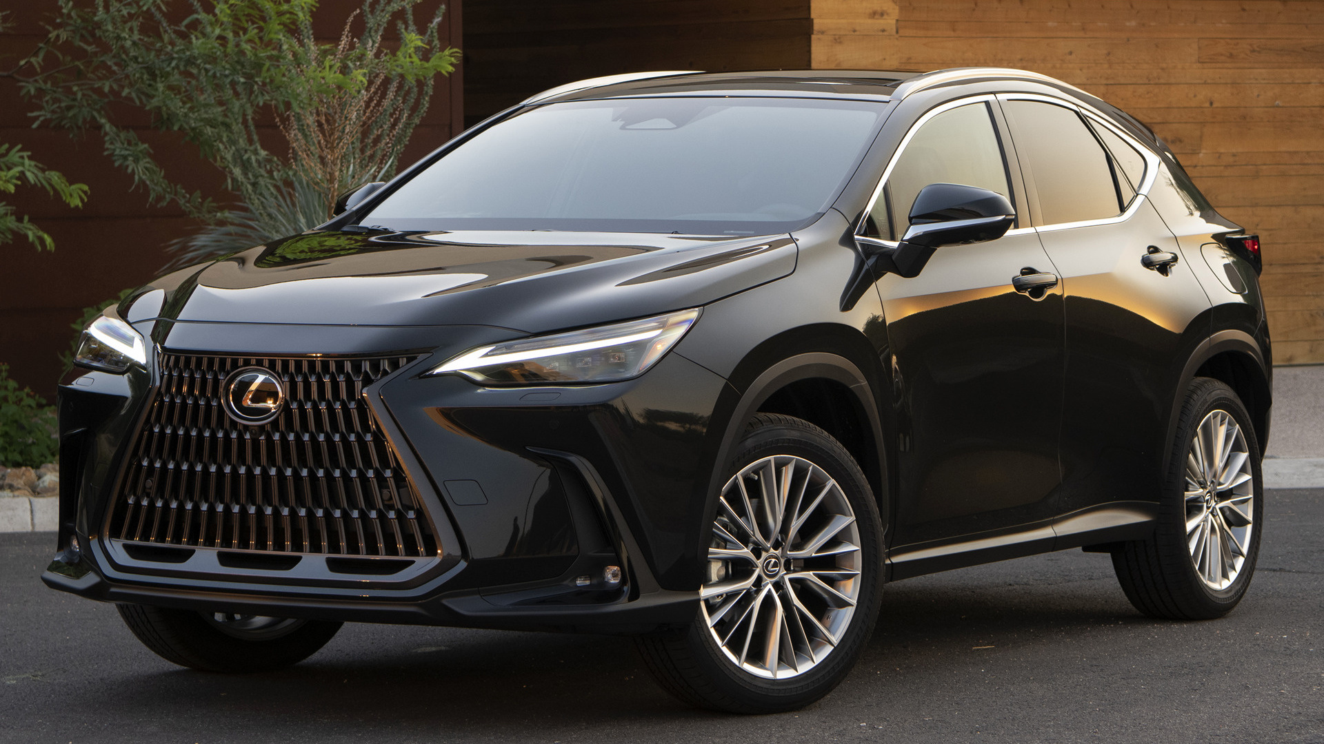 Lexus nx 2022