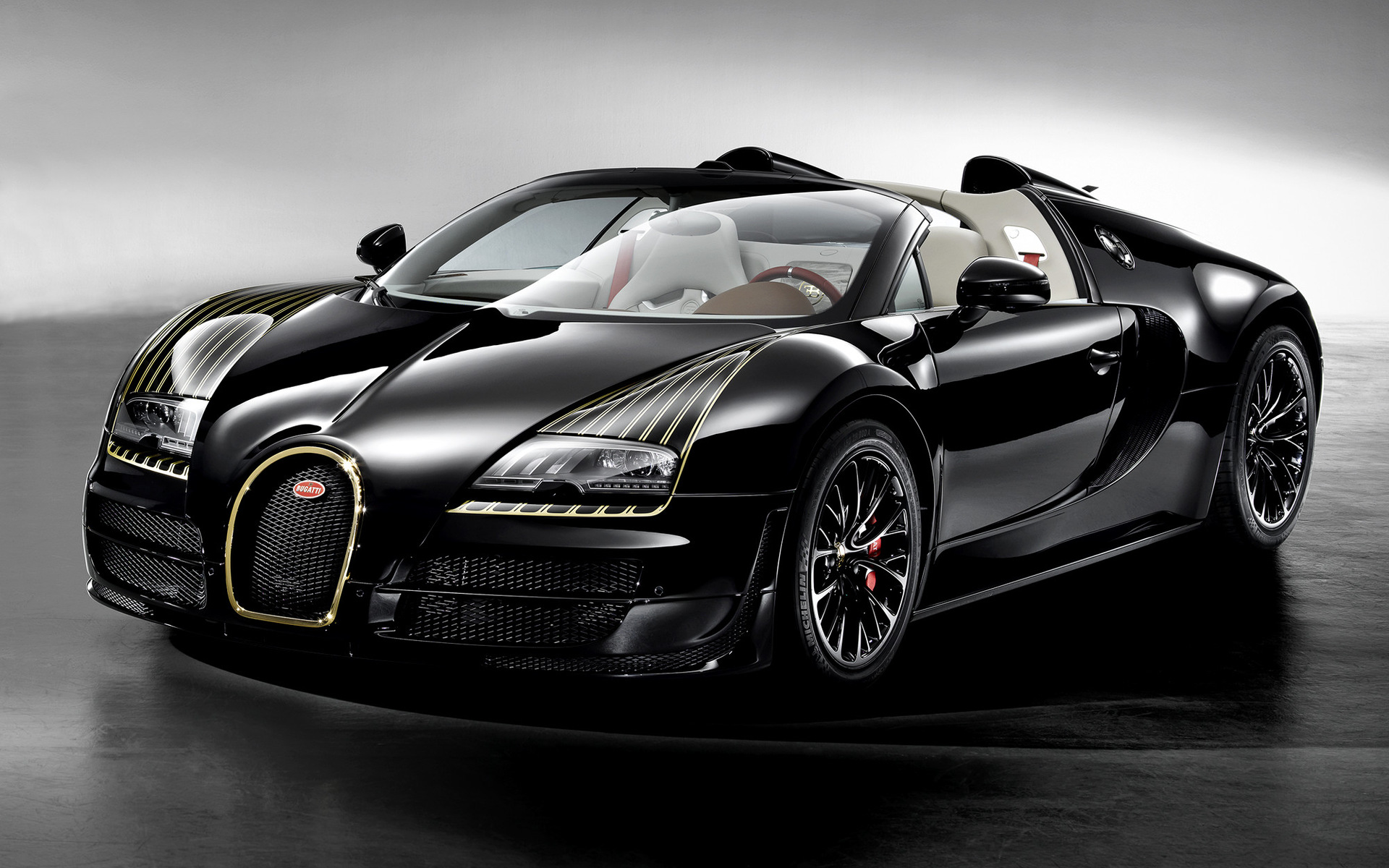 2014 Bugatti Veyron Black Bess